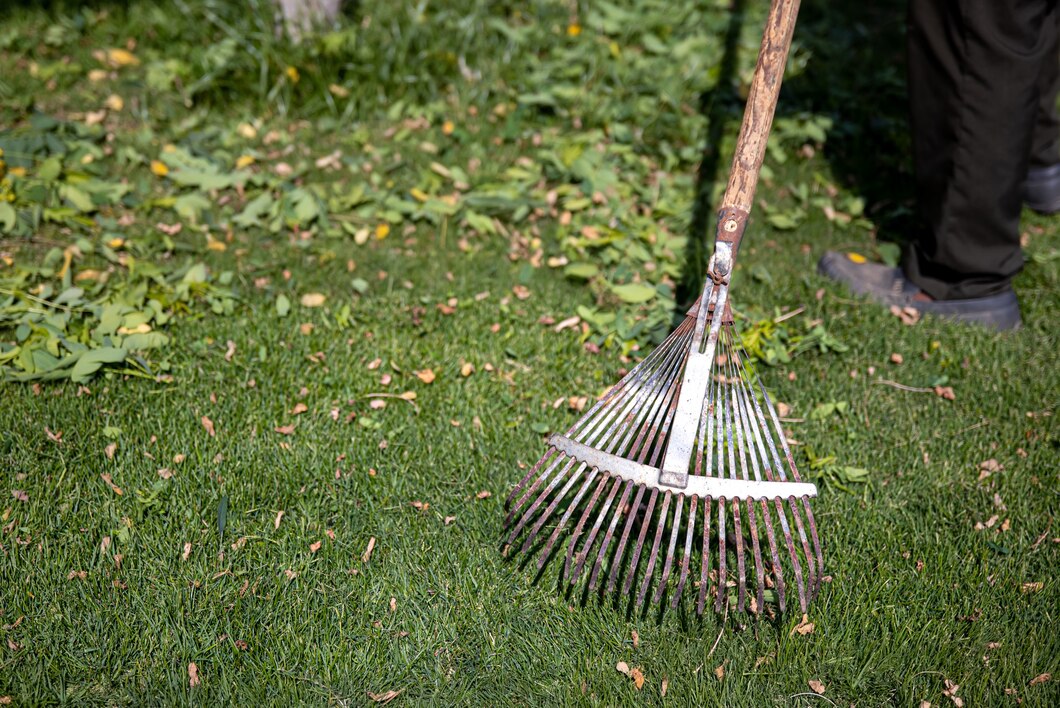 Praktyczne porady: jak wybrać idealne obrzeża trawnikowe do twojego ogrodu