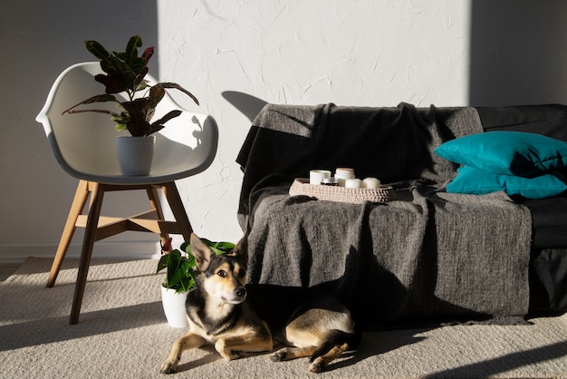 Jak zaprojektować przestrzeń, która łączy funkcjonalność z estetyką?